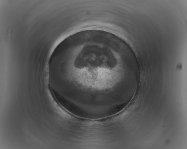 X0000091061522200708201333