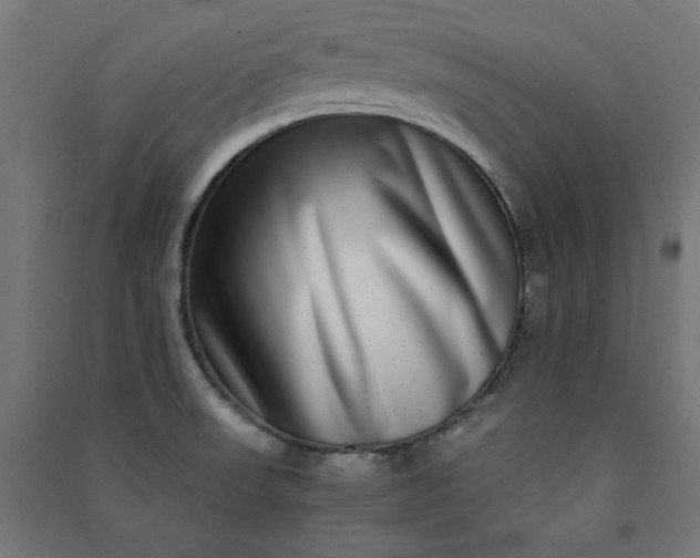 X0000091061523200708201333