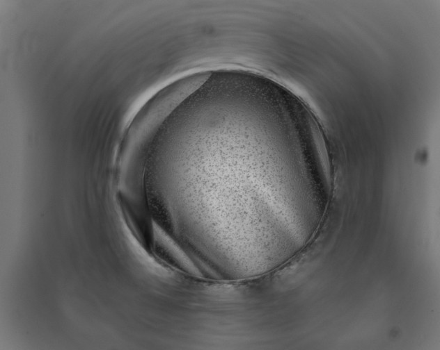 X0000091061524200708201333