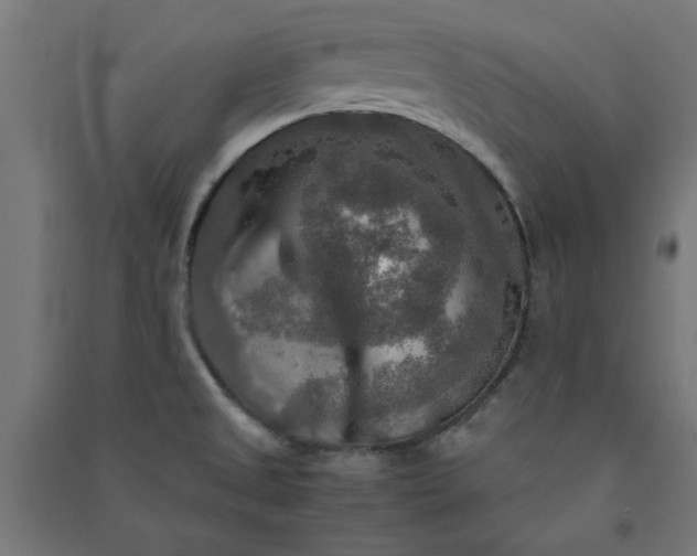 X0000091061525200708201333