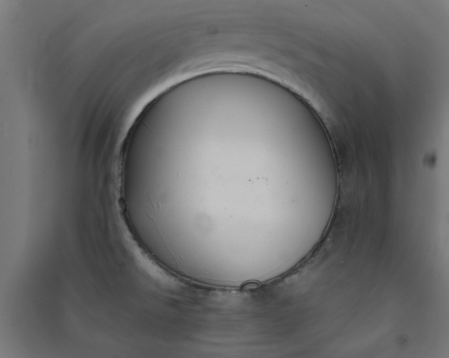 X0000091061526200708201333