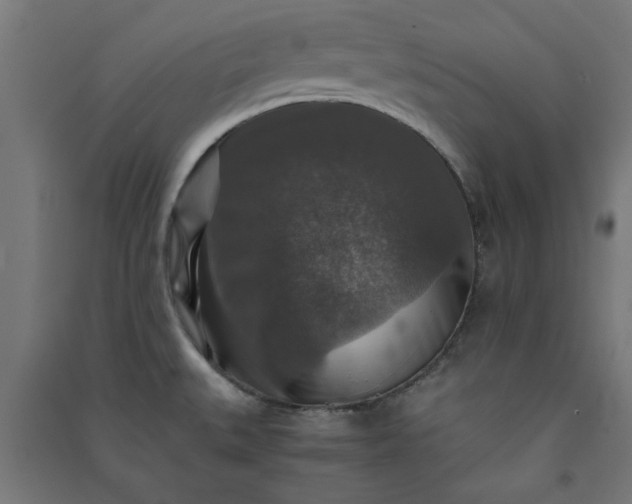 X0000091061527200708201333