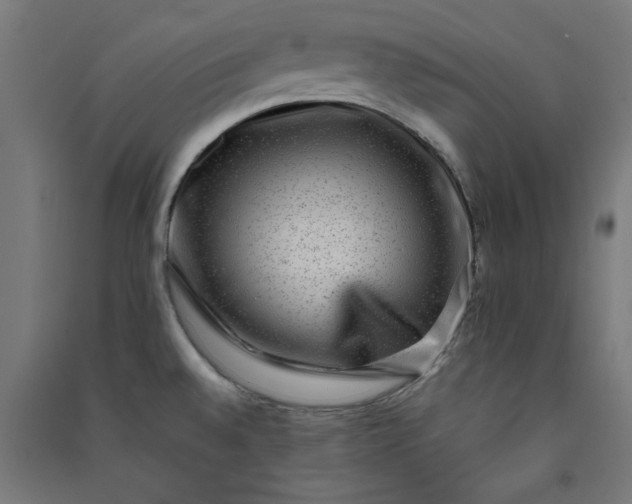 X0000091061528200708201333