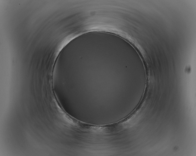 X0000091061529200708201333