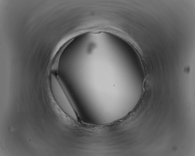 X0000091061530200708201333