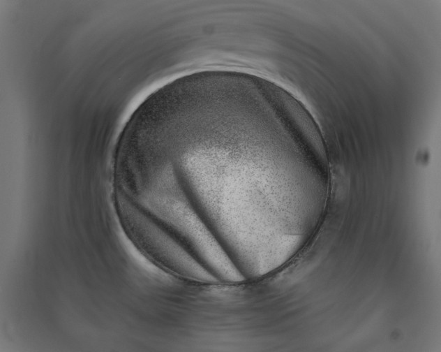 X0000091061531200708201333