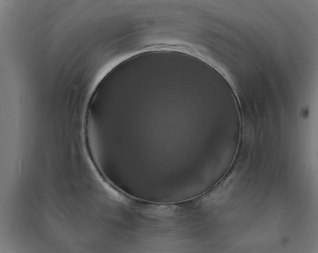 X0000091061533200708201333