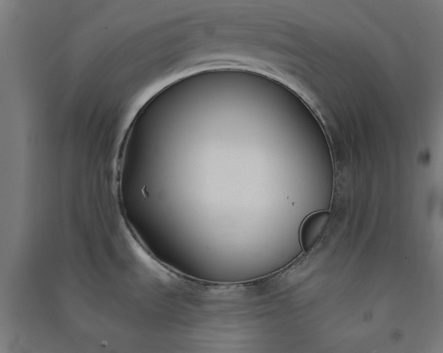 X0000091061535200708201333