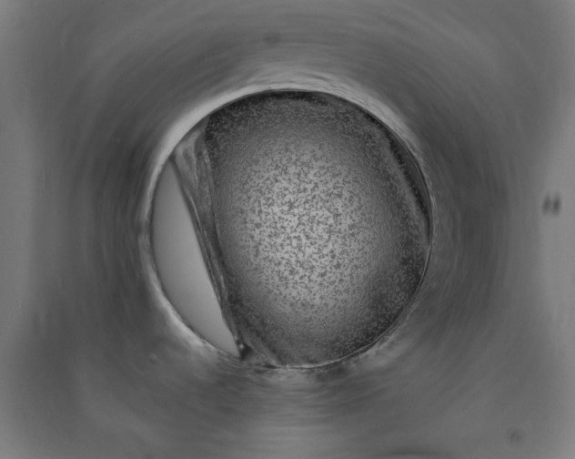 X0000091061536200708201333