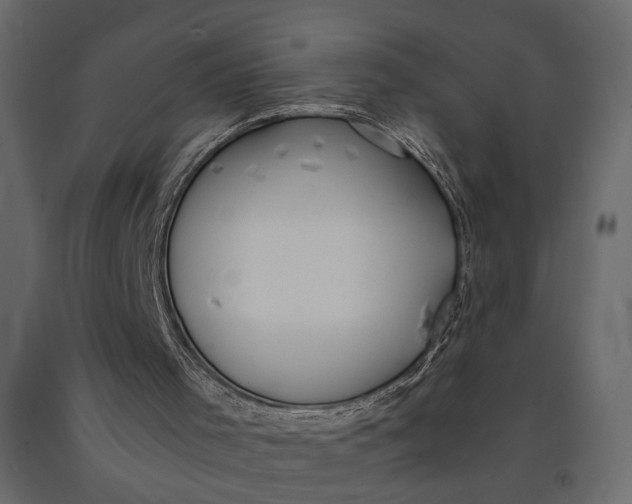 X0000091060001200708271205