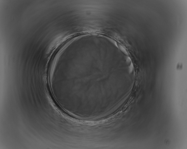 X0000091060002200708271205