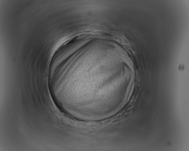 X0000091060003200708271205