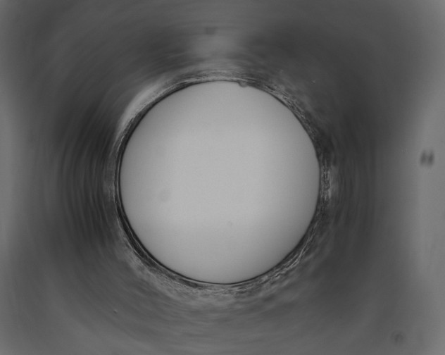 X0000091060004200708271205