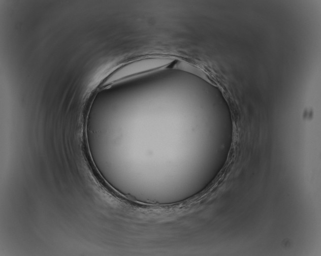 X0000091060005200708271205