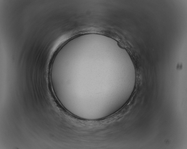 X0000091060006200708271205