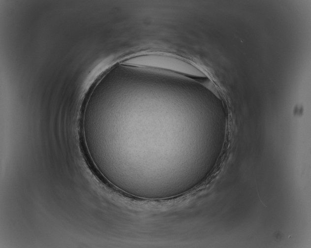 X0000091060007200708271205