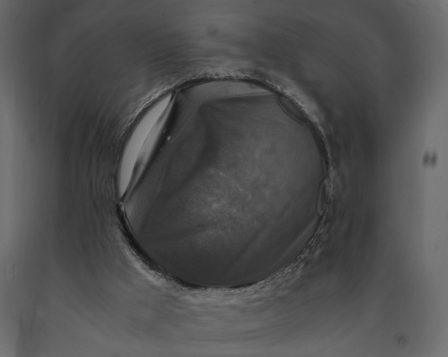 X0000091060009200708271205