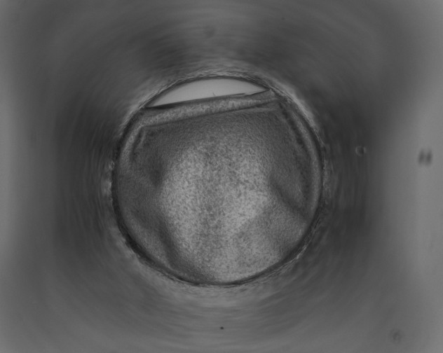 X0000091060010200708271205