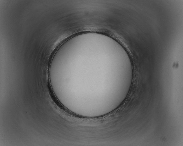 X0000091060011200708271205