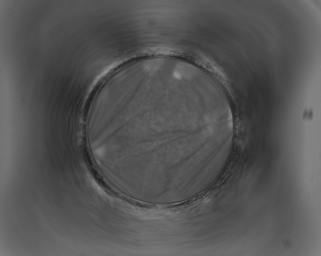 X0000091060012200708271205