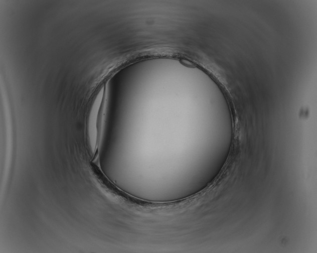 X0000091060013200708271205