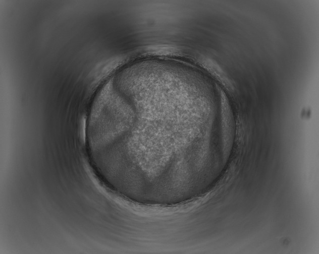 X0000091060014200708271205