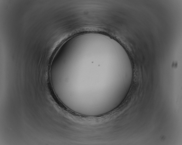 X0000091060015200708271205