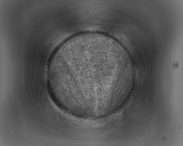 X0000091060016200708271205
