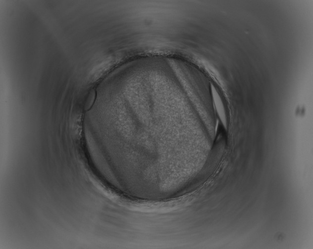 X0000091060017200708271205