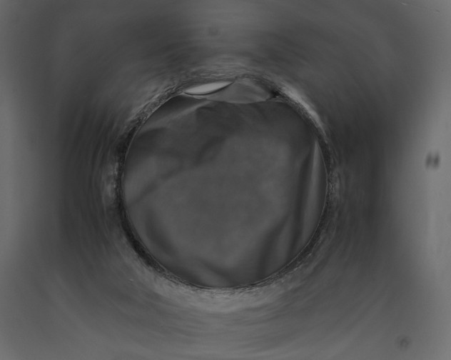 X0000091060018200708271205