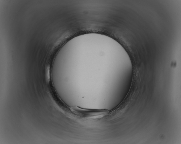 X0000091060020200708271205