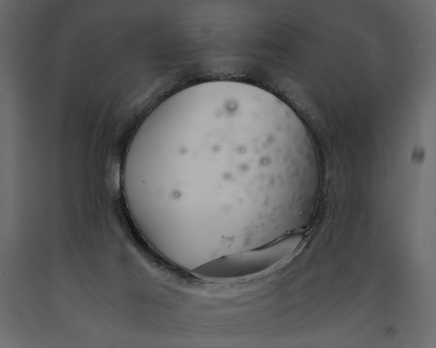 X0000091060021200708271205