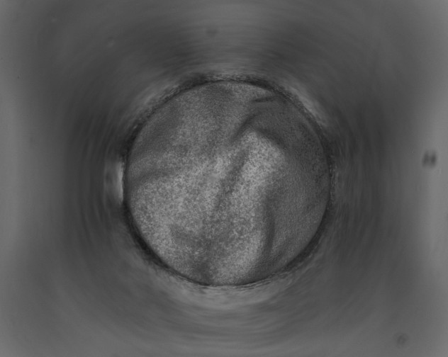 X0000091060022200708271205
