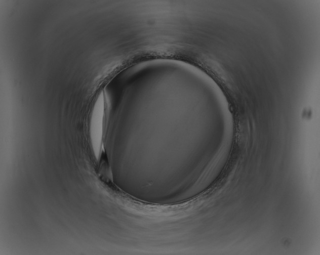 X0000091060023200708271205