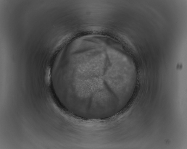 X0000091060024200708271205