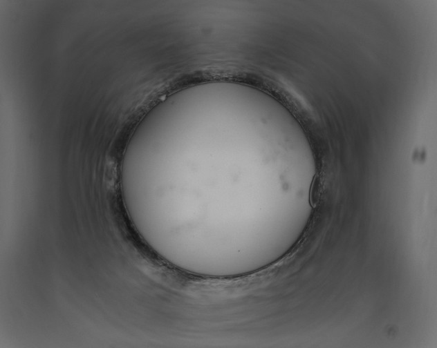 X0000091060025200708271205