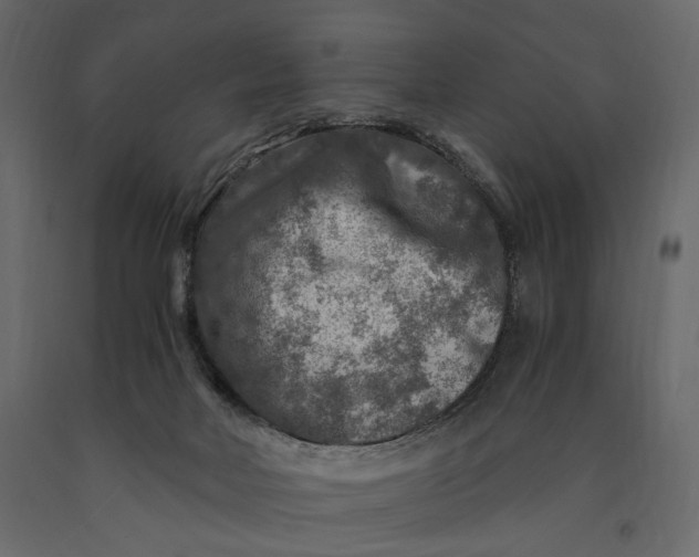 X0000091060026200708271205