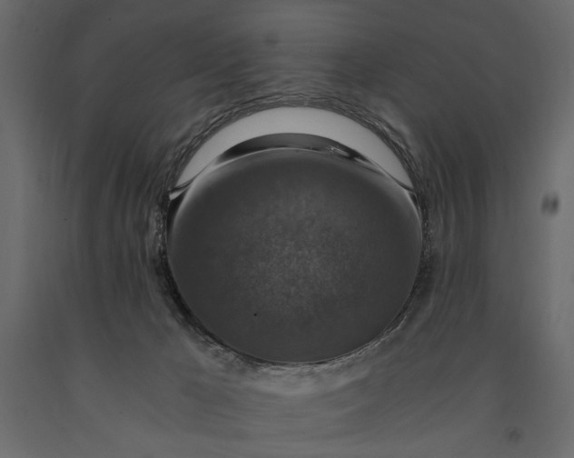 X0000091060029200708271205