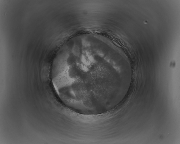X0000091060030200708271205