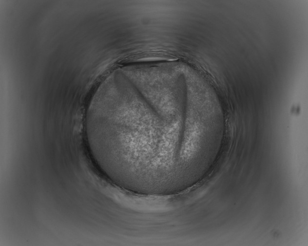 X0000091060032200708271205