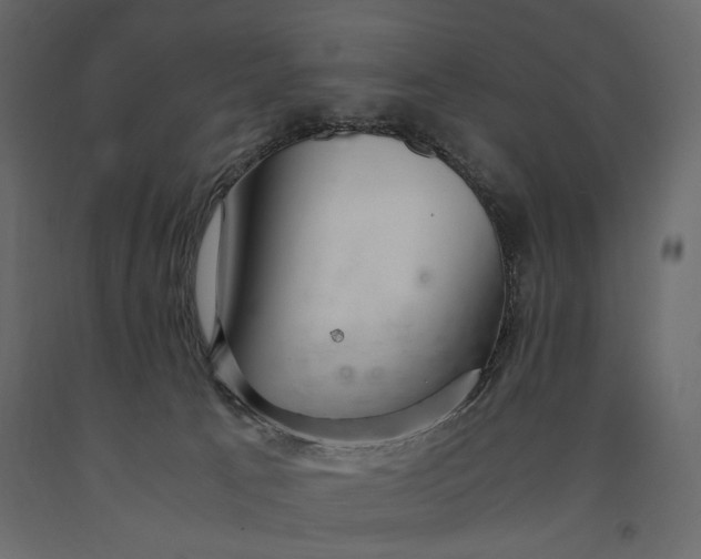 X0000091060033200708271205