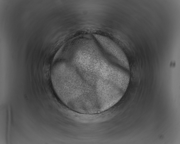 X0000091060034200708271205
