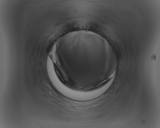 X0000091060039200708271205