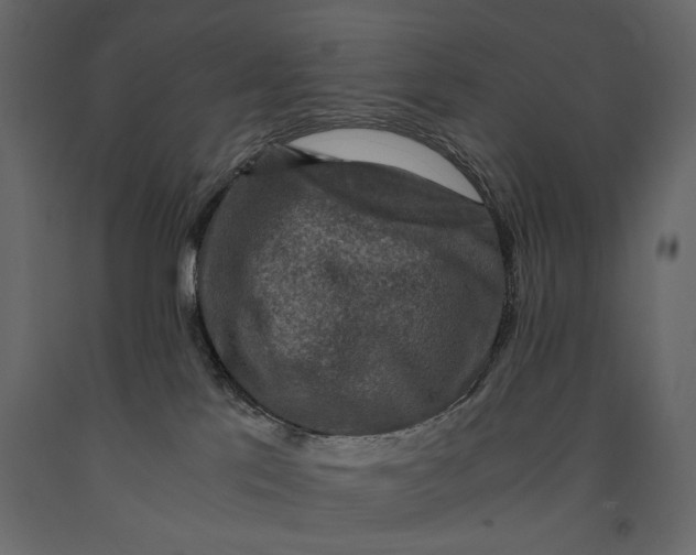 X0000091060041200708271204