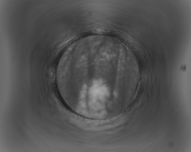 X0000091060043200708271204