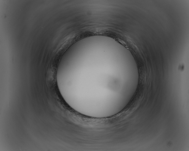 X0000091060044200708271204
