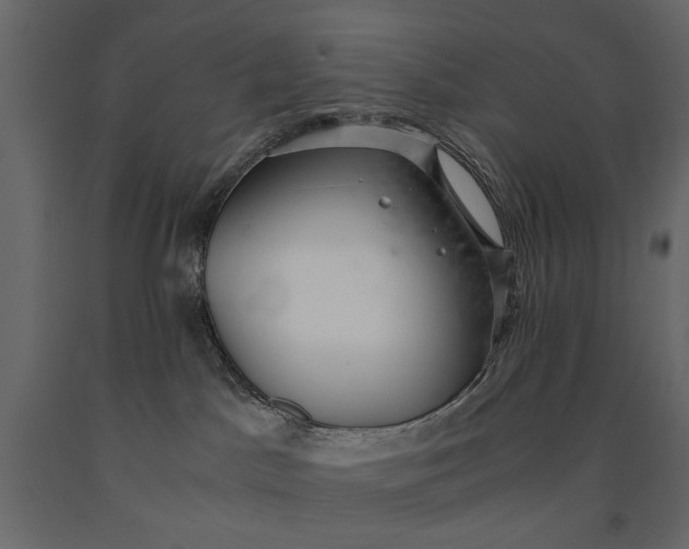 X0000091060045200708271204