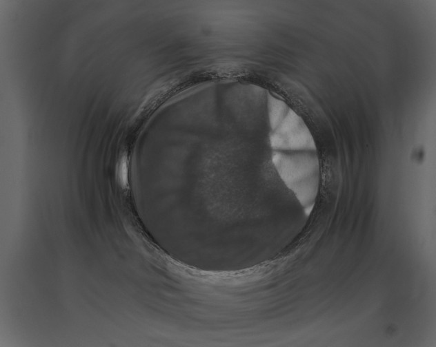 X0000091060046200708271204