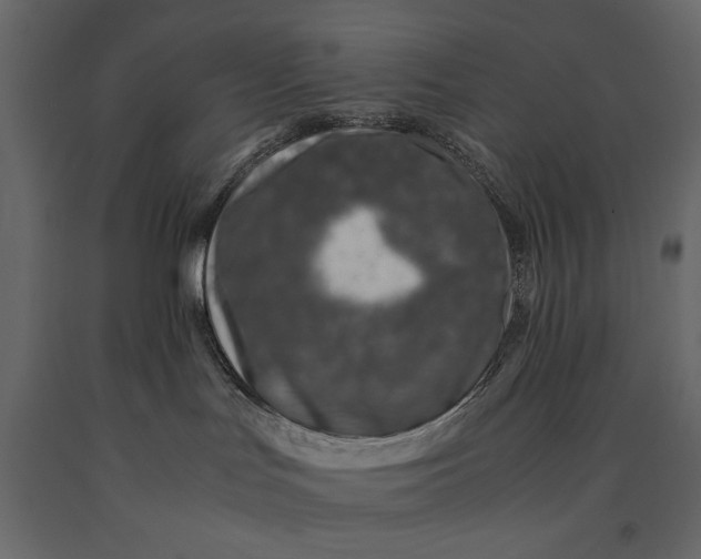 X0000091060047200708271204