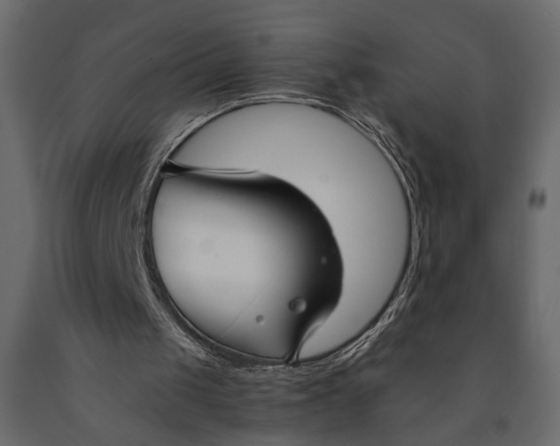 X0000091060049200708271204
